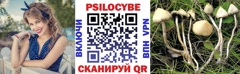 закладка  это наркотические препараты  Галлюциногенные грибы мухоморы  Лебедянь 